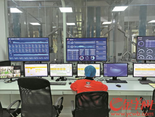 東莞數(shù)字經(jīng)濟(jì)賦能傳統(tǒng)制造 150秒完成大米樣品快速檢測(cè)